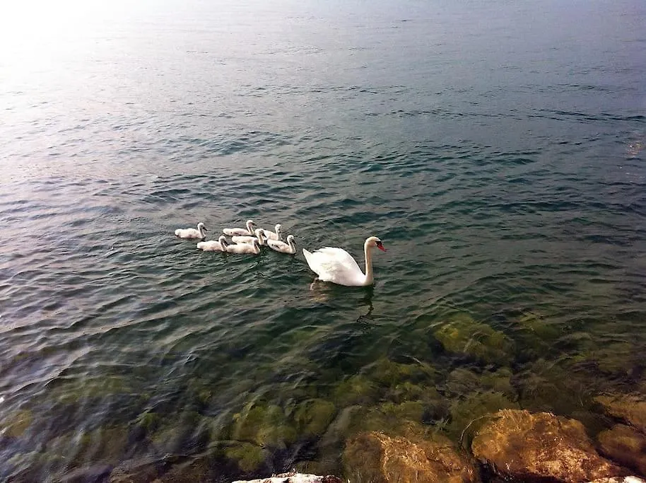 Relax On Lake Of Garda Raffa 0*,  Włochy
